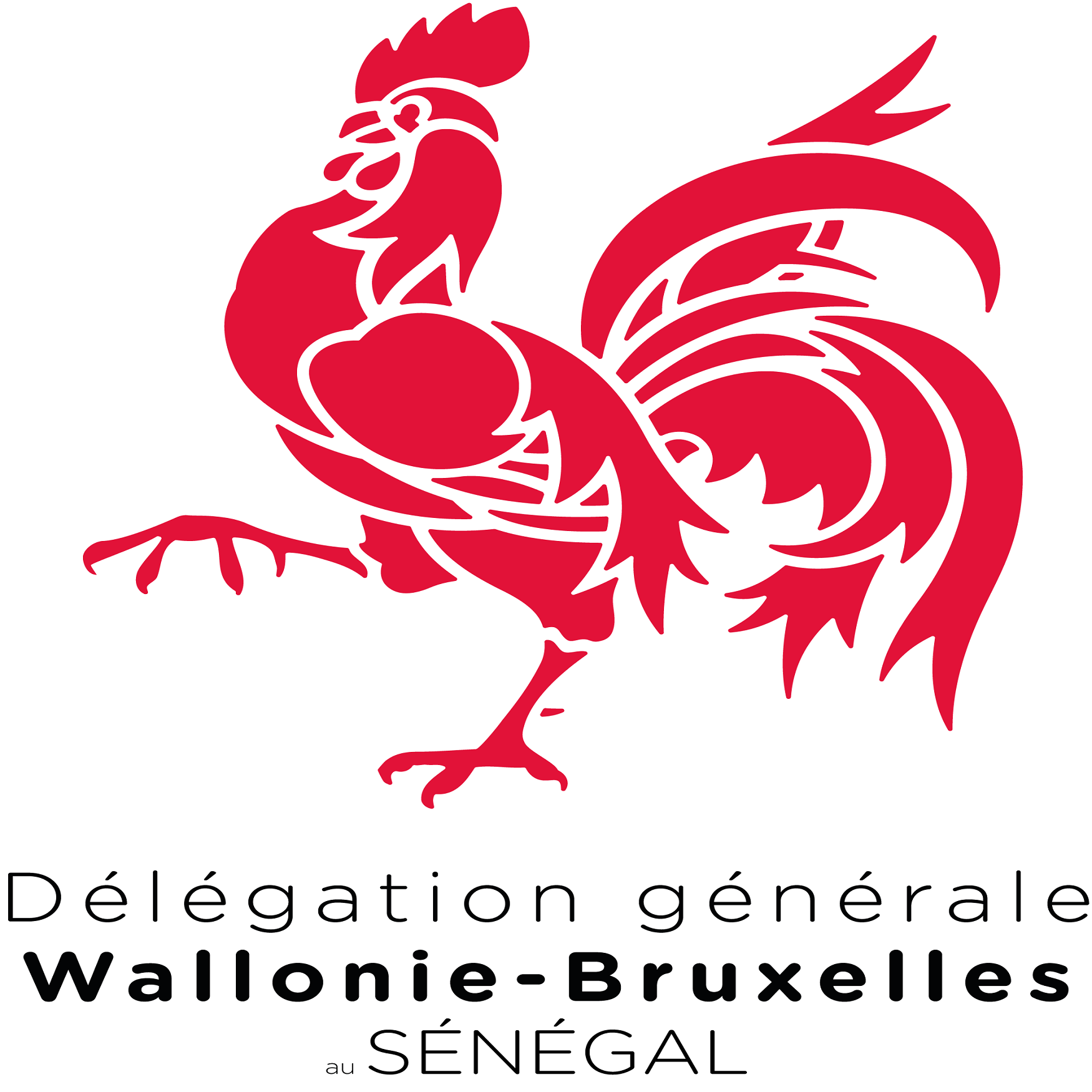 Logo_DGWB_SENEGAL_Vertical_Couleur