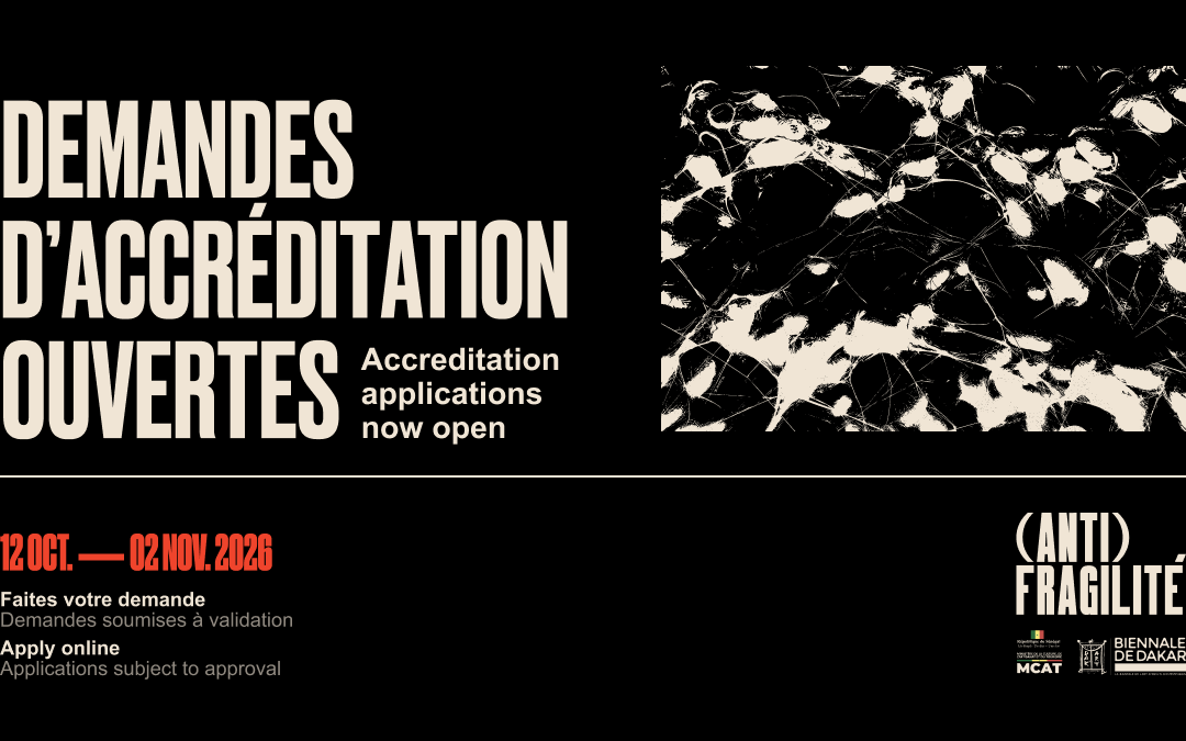 Biennale de Dakar 2026 — formulaire de demande d&rsquo;accréditation / accreditation application form